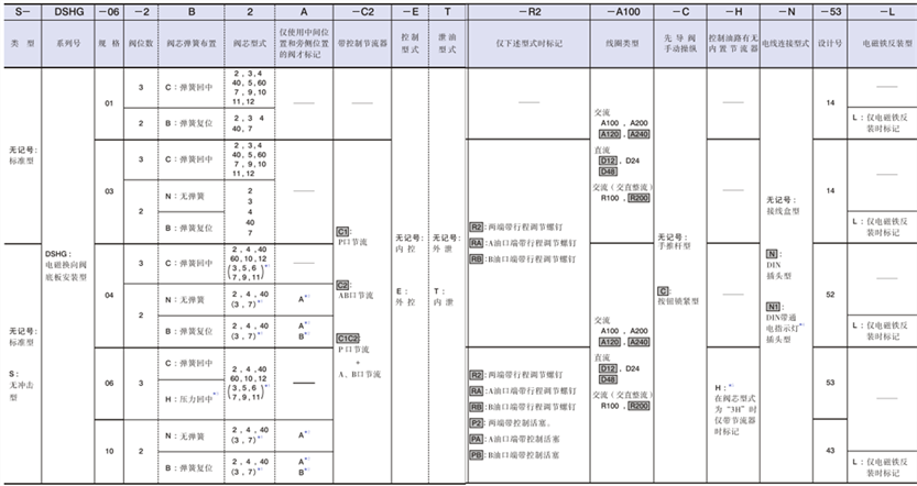 DSHG型號(hào)說明